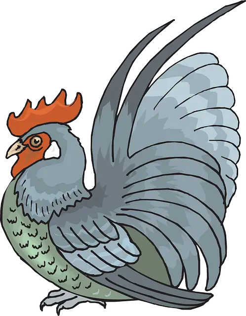 Illustration of a chicken in a transparent background