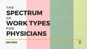 The Spectrum of Work Types for Physicians