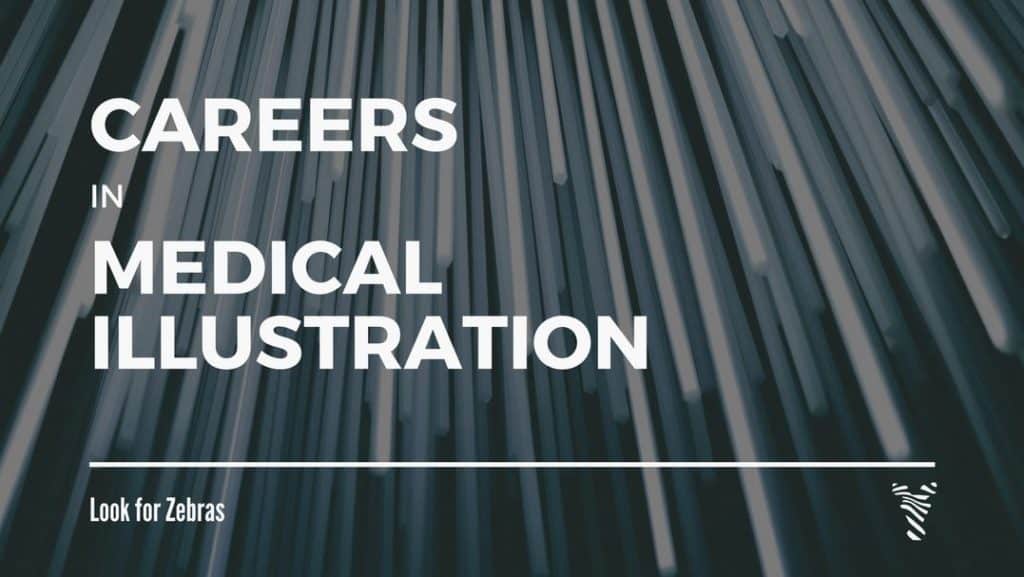 medical illustrator salary medical illustrator salary