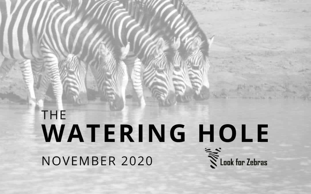 The Watering Hole November 2020