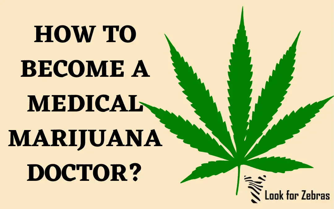 How To Become A Medical Marijuana Doctor? The Hemp Doctor Trend