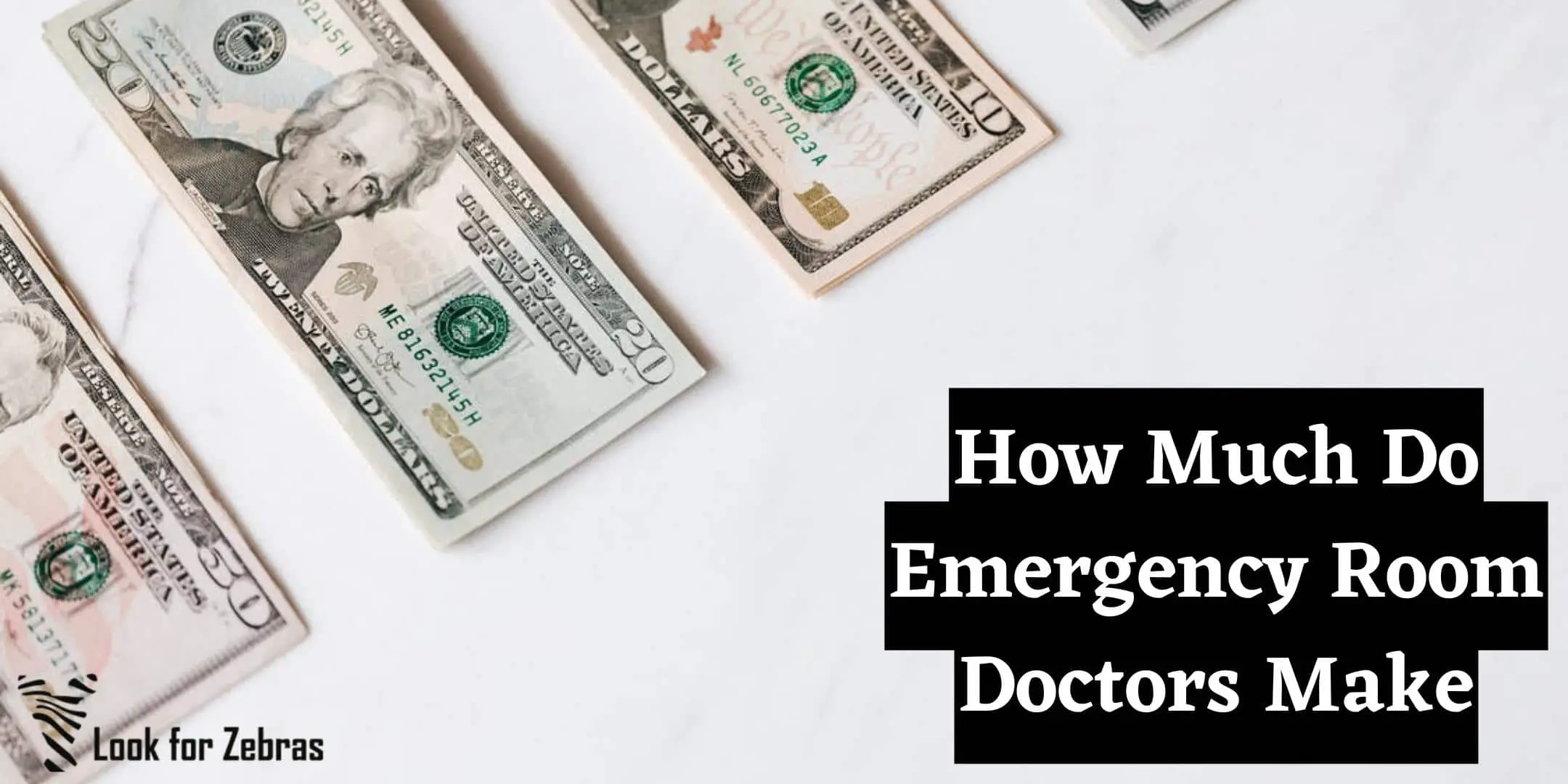 Emergency room doctors income