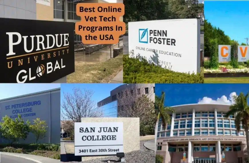 Best online vet tech programs
