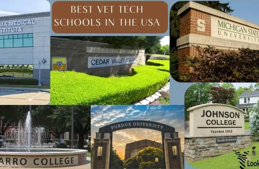 Best vet tech schools